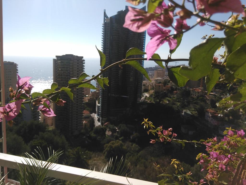 Monaco Pool Sea View Apartments Beausoleil Extérieur photo